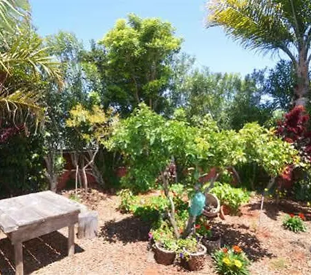 El Tendal Holiday home Puntagorda (La Palma)